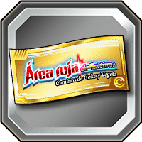Special Item